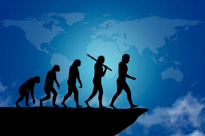 humanos