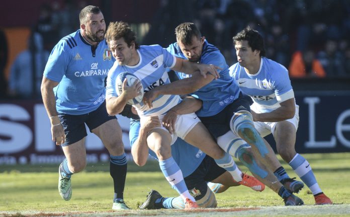 los pumas01