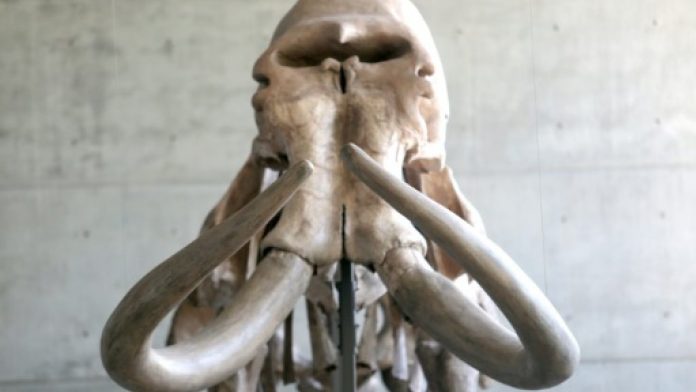 2289da9bf5528a35be90bbc2a0f5f18b6937690d