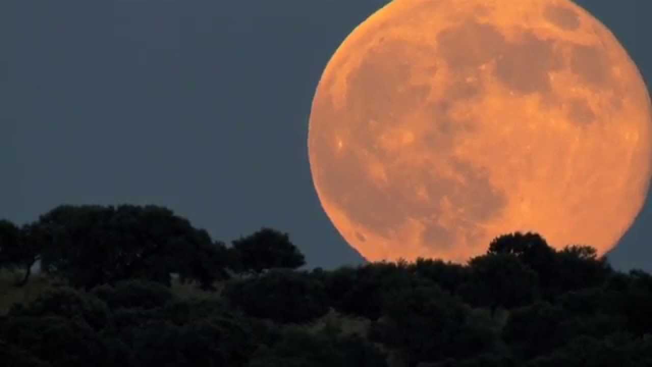 La luna falsa nswf. Лас де ла Луна. Луна для презентации. Облако Луна 12. Когда будет следующая Кровавая Луна.