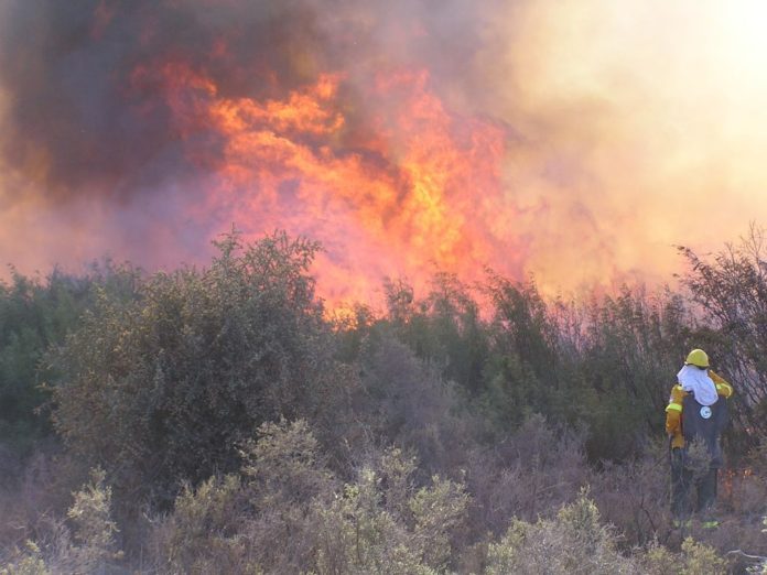 incendios-la-pampa01