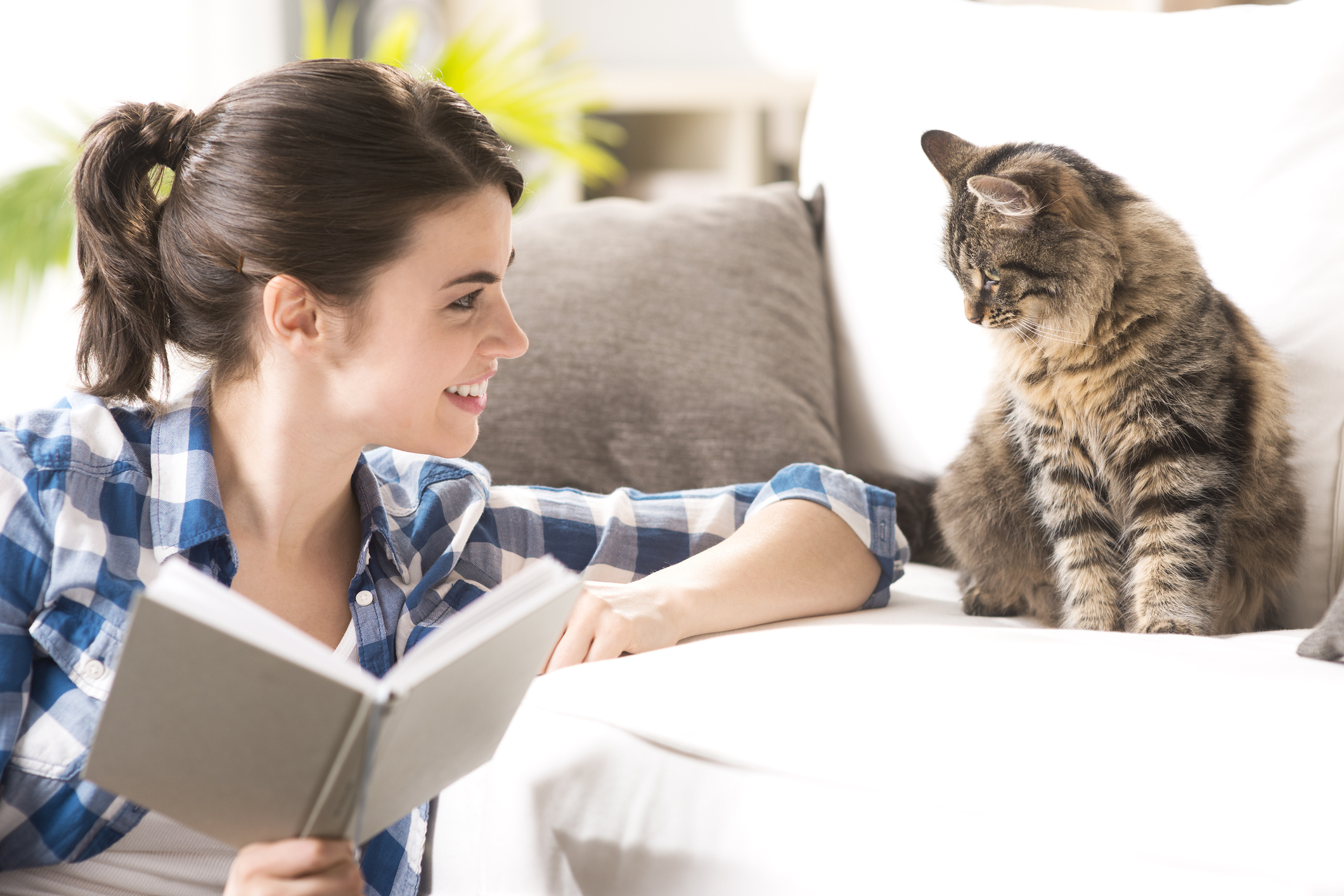 Книги человек человеку кот. Кот и хозяйка. Разговор с кошкой. Девушка разговаривает с котом.