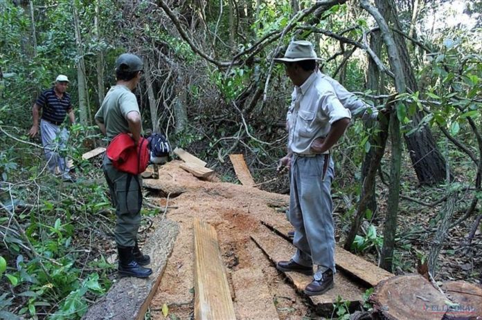 ElLitoral-99005-1400x840