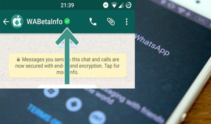 whatsapp-cuenta-verificada-2