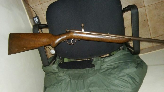 poli 1